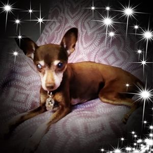 Meet your Posher, Kathy